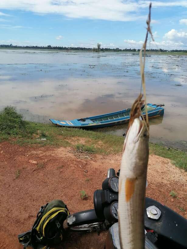 Siem Reap: Fishing in the rice fields, in the villages of Siem Reap - Who will enjoy this day most