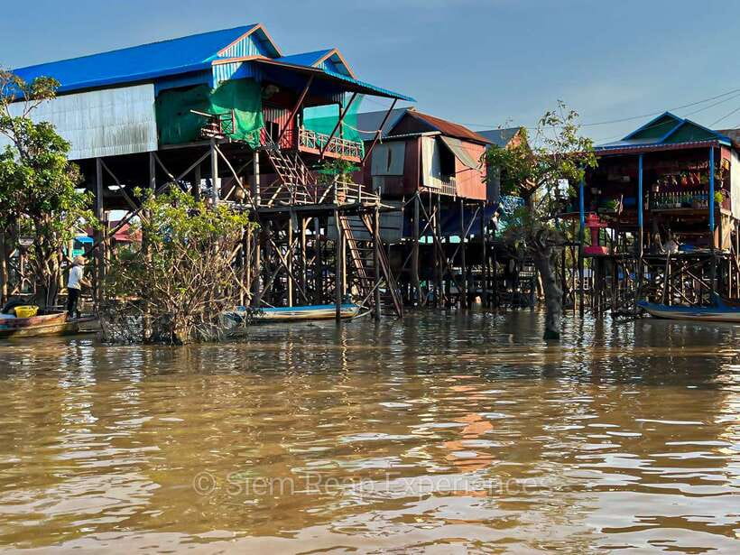 Siem Reap Floating Village Kampong Phluk Sunset with Boat - The optional canoe through the flooded forest