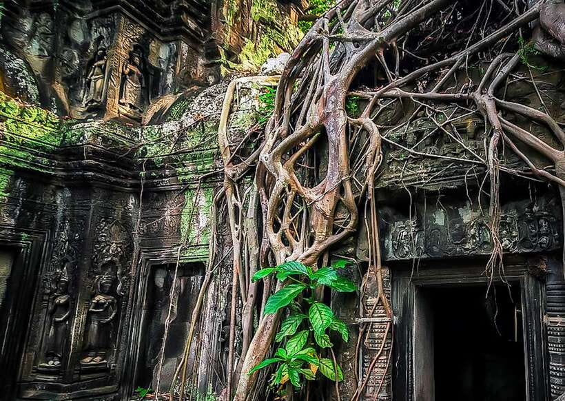 Siem Reap: Full-Day Angkor Wat Guided Tour with Sunset - The guides make the biggest difference