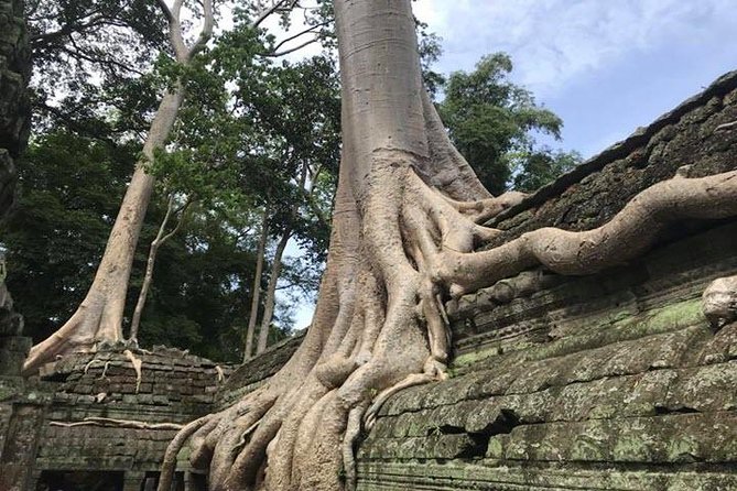 Siem Reap Full Day Angkor Wat Tour Small Group - The guide can make the difference