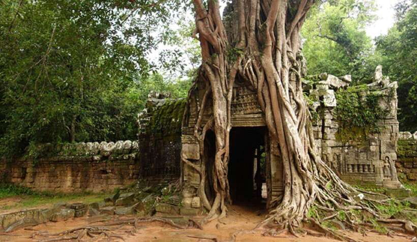 Siem Reap: Grand Circle Temples Tour With Private Tuk-Tuk - East Mebon: towers, terraces, and a more open visit