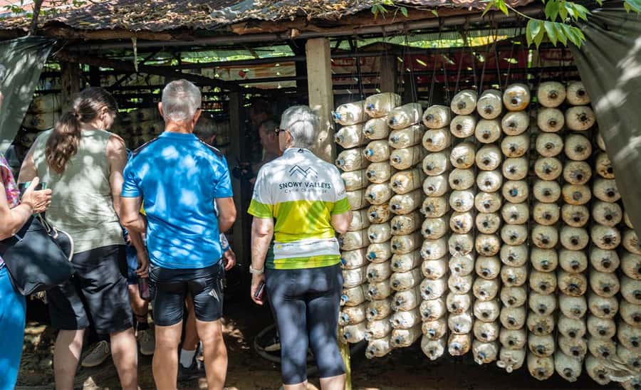 Siem Reap: Guided Countryside Bike Tour - Lotus farms and the changing tour timing
