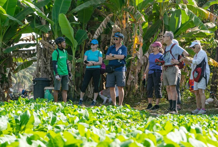 Siem Reap: Guided Countryside Bike Tour - Guides who make the route work