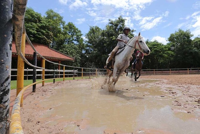 Siem Reap Happy Horse Riding Free Pick-up & Drop-off - Key points to know before you ride
