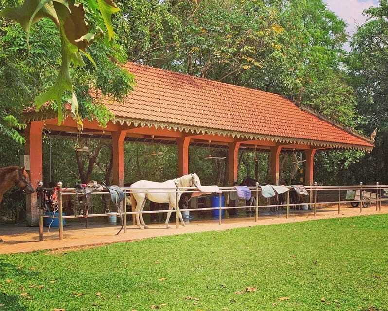 Siem Reap Happy Horse Riding Free Pick-up & Drop-off - Who should book this countryside ride