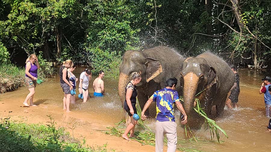 Siem Reap: Kulen Elephant Forest Guided Tour - Lunch at base camp after the morning session