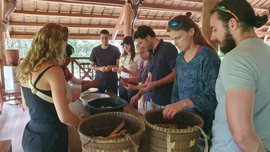 Siem Reap: Kulen Elephant Forest Guided Tour - What the $128 price really buys you