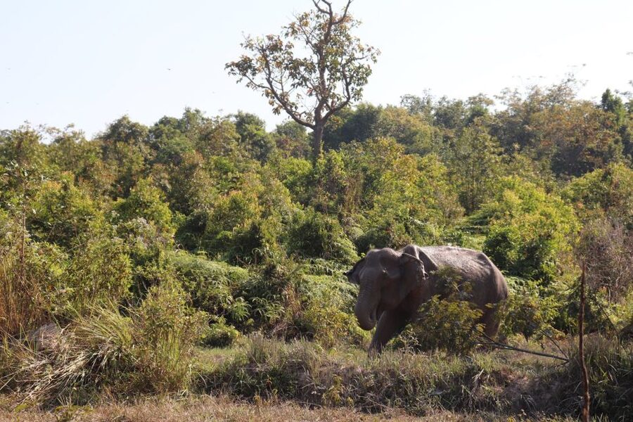 Siem Reap: Kulen Elephant Forest & Tonlesap Lake - What to pack and how to pace yourself