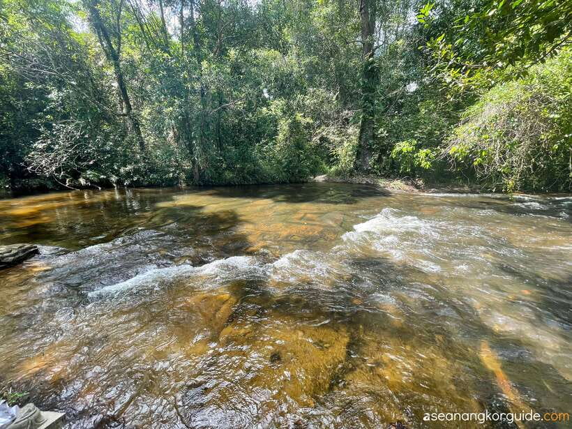 Siem Reap: Kulen Mountain Small Group Tour with Picnic Lunch - The value of a $52 small-group day