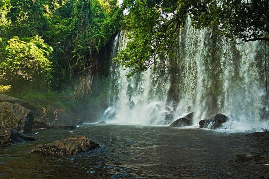 Siem Reap: Kulen Waterfall by Private Tour - A short look at palm sugar production