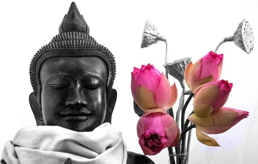 Siem Reap Lotus Silk Farm Discovery tour & Lake experience - From lotus stems to Cambodia’s rarest silk