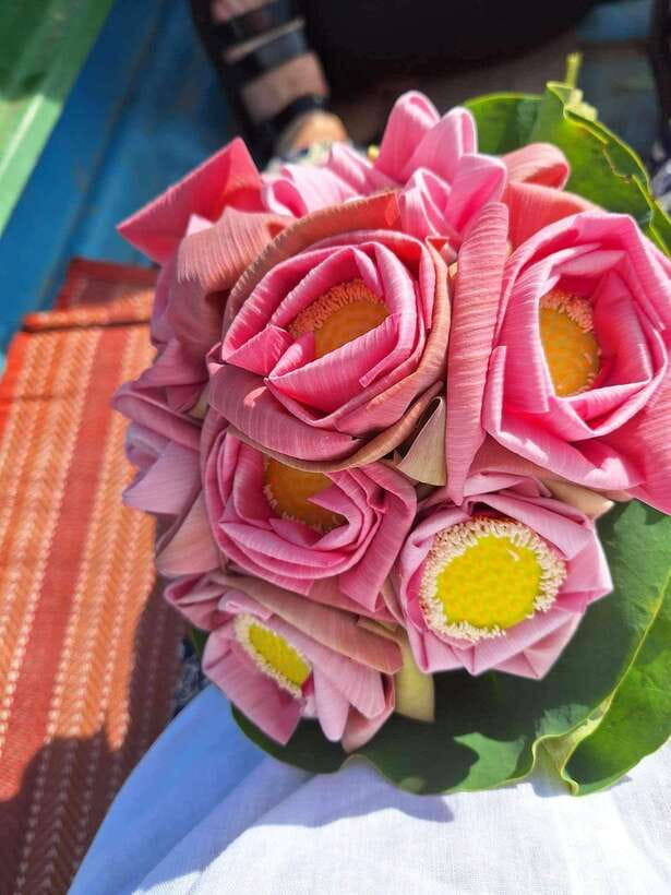 Siem Reap Lotus Silk Farm Discovery tour & Lake experience - Who should book this Siem Reap experience?