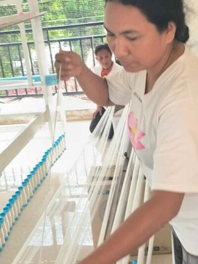 Lotus Silk Farm- Tour, Lake & Masterclass