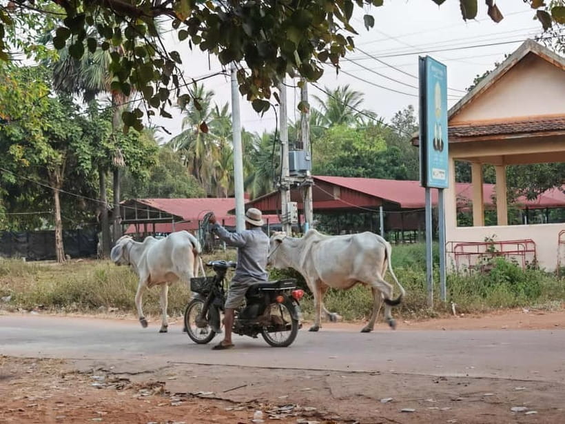 Siem Reap: Monk Blessings and Village Life Scooter Tour - Who will enjoy this outing most