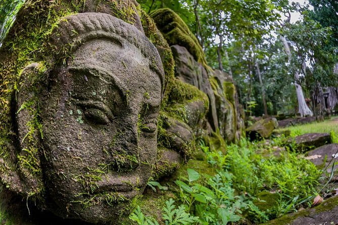 Siem Reap: Private Custom Angkor Wat Tour with Local Guide - Ta Prohm and the power of the trees