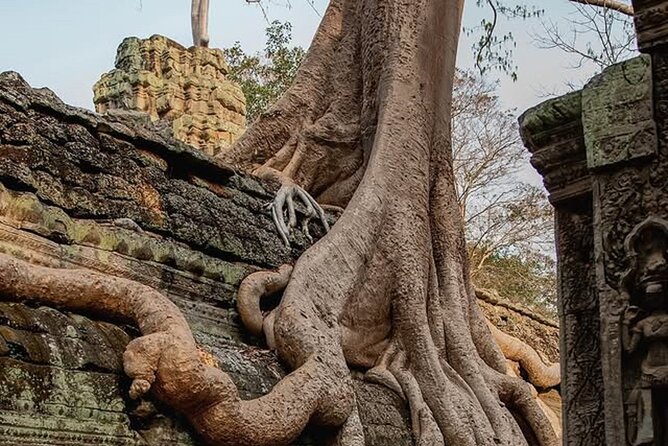 Siem Reap Private Full Day Angkor Wat Tour with Sunset or Sunrise - Choosing sunrise or sunset