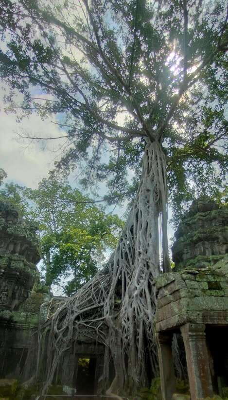 Siem Reap Private Tour: Angkor Wat Sunrise And Banteay Srei - Why Angkor Wat sunrise makes a strong beginning