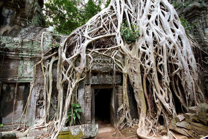 Siem Reap: Private Tour of Angkor Complex - A full day among the Khmer Empire’s greatest temples