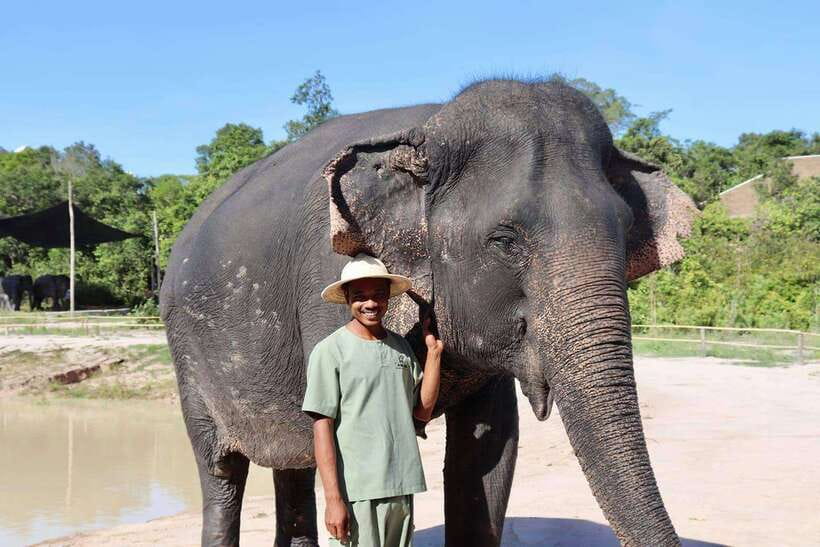 Siem Reap: Small Group Tour of Kulen Elephant Forest - The guide’s briefing sets the right tone