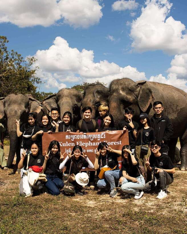 Siem Reap: Small Group Tour of Kulen Elephant Forest - Feeding elephants with handmade snacks
