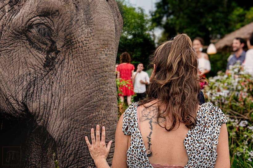 Siem Reap: Small Group Tour of Kulen Elephant Forest - Mud, river bathing, and the practical clothing rule