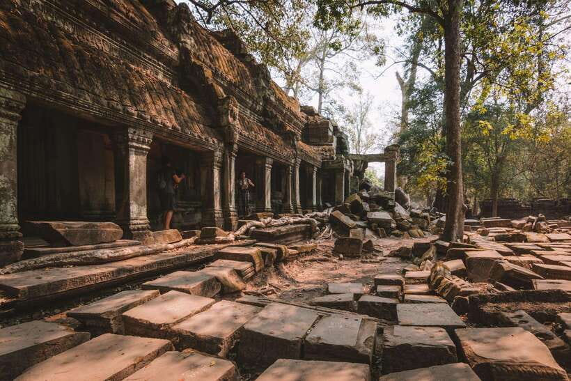 Siem Reap Sunrise Angkor Wat Temple Tour - Ta Prohm, where nature presses into the ruins