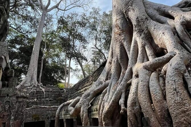 Siem Reap Temple Tuktuk Tour: Explore Angkor Wat and beyond. - The value of $30 for a private group