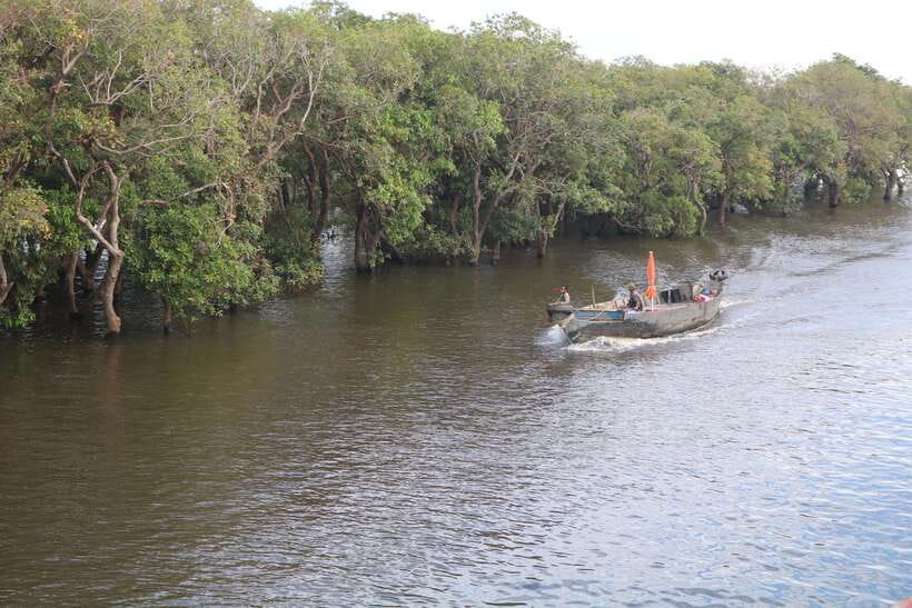 Siem Reap: Tonle Sap Lake - Fishing Village & Flooded Forest - The flooded forest boat ride