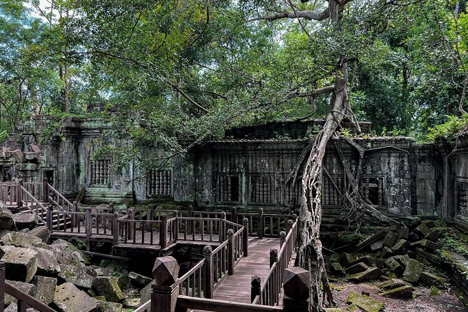Siem Reap Tourist Attractions 2 Day Angkor Wat Shared Tour - Ta Prohm shows what happens when nature takes over