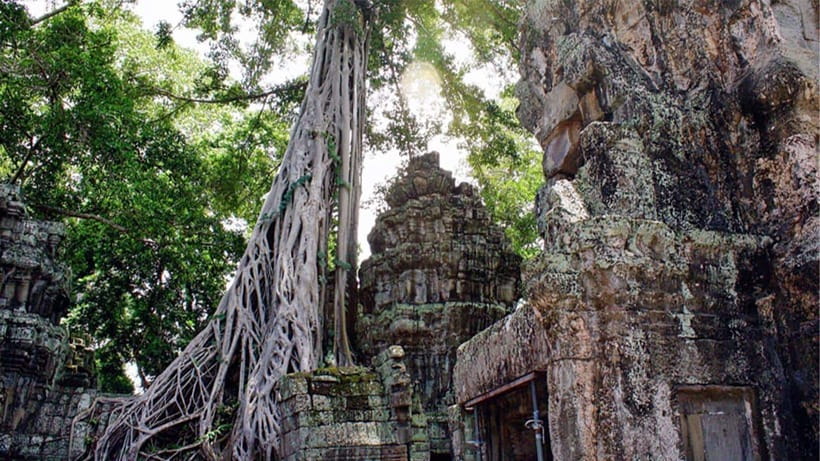 Small-Group Explore Angkor Wat Sunrise Tour with Guide - Why Angkor Wat sunrise is worth the alarm