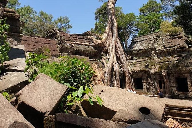 Special Three Days Angkor Tour - Vehicle, timing, and daily comfort