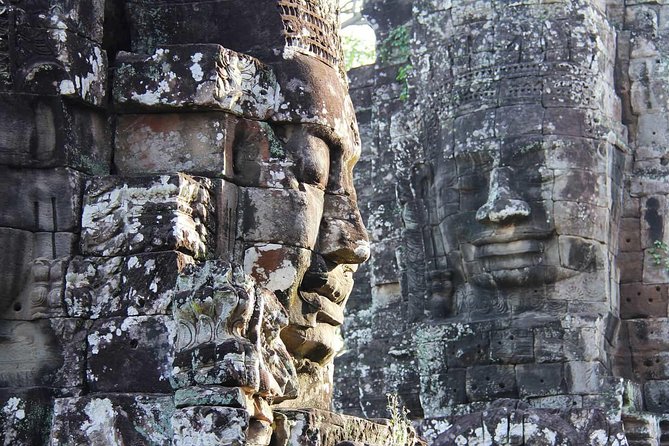 Sunrise Small Group Tour to Angkor Wat Temple - Ta Prohm, where trees grip the ruins