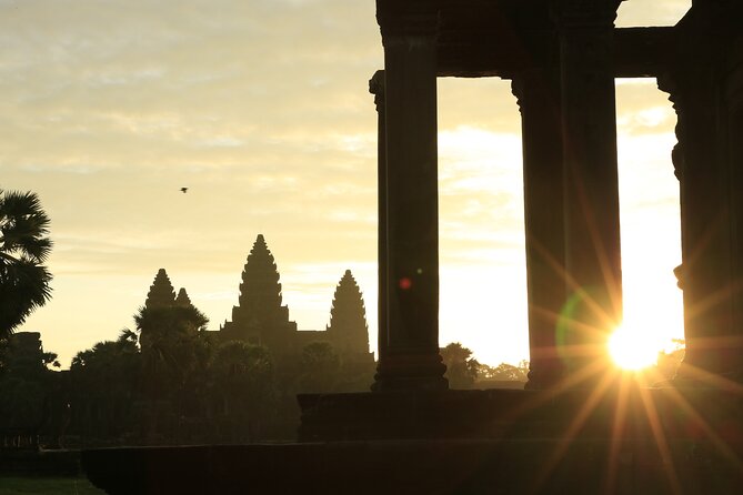Sunrise Tour of Angkor Temples from Siem Reap - Ta Prohm and the appeal of a less orderly temple