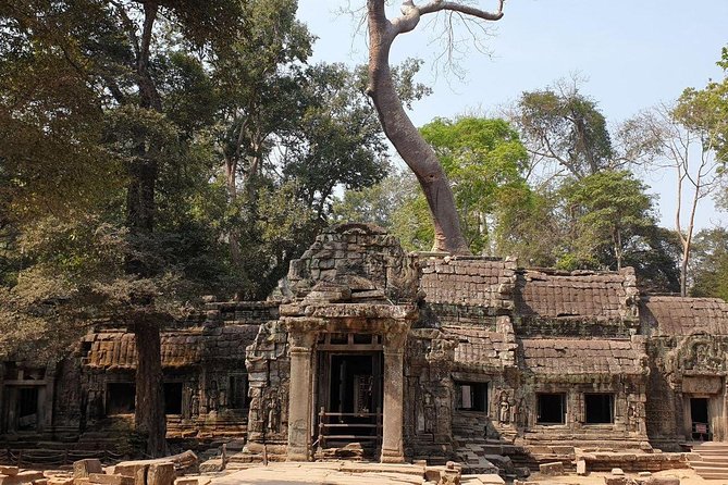 Sunrise Tour of Angkor Temples from Siem Reap - What Tann and Pan add to the morning