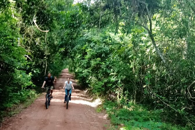Sunset or sunrise bicycle tour around Angkor Wat and nearby temples - Why a bicycle is a smart way to see Angkor