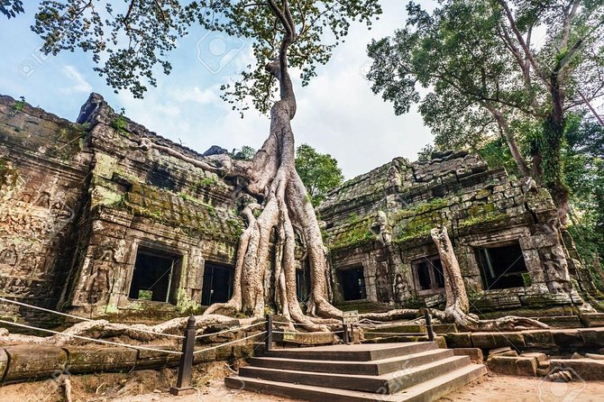 Sunset or sunrise bicycle tour around Angkor Wat and nearby temples - Ta Prohm: roots, ruins, and the Tomb Raider effect