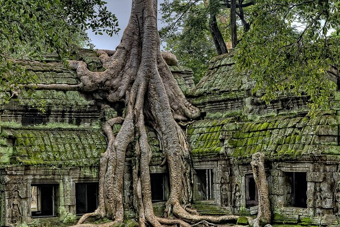 The Angkor Temples from Sunrise by Tuk Tuk - Why Angkor Wat sunrise is worth the alarm