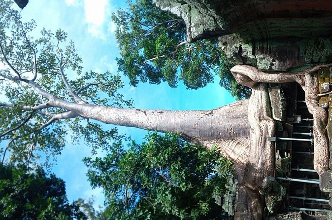 The Magnificent Angkor Wat - Price, ticket cost, and the real value