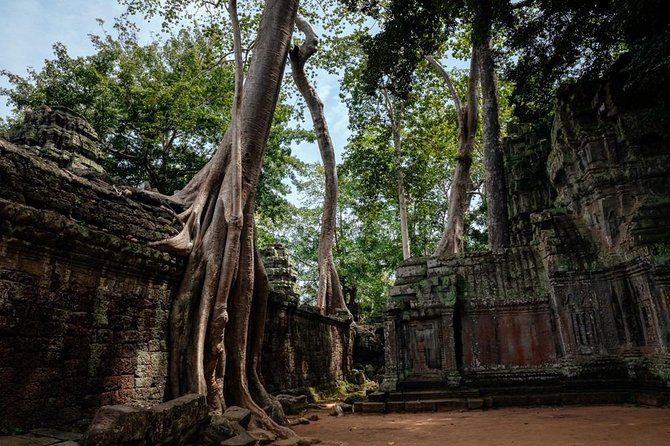 The Ultimate Angkor Wat Temple Private Day Trip - What Long and Leap add to the day