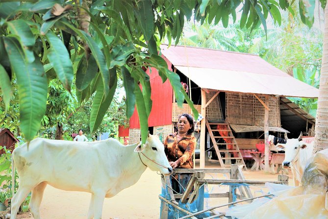Tonle Sap Lake - Fishing Village & Flooded Forest - Comfort, timing, and the group size