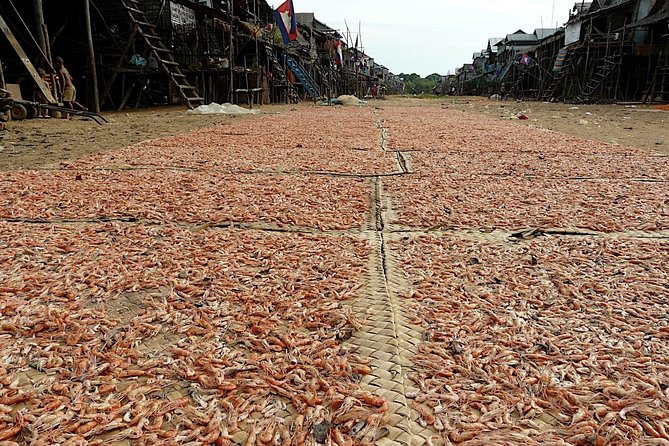 Tonle Sap Lake & Kampong Phluk Village Half-Day Tour - Guides make the biggest difference