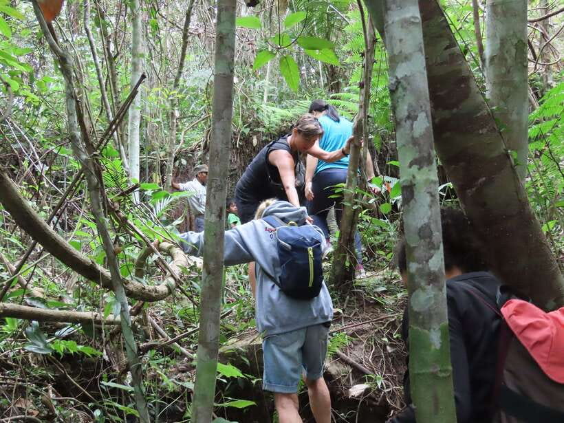 Trekking Tour at Phnom Kulen National Park from Siem Reap - The ride back, lunch, and Preah Dak Market