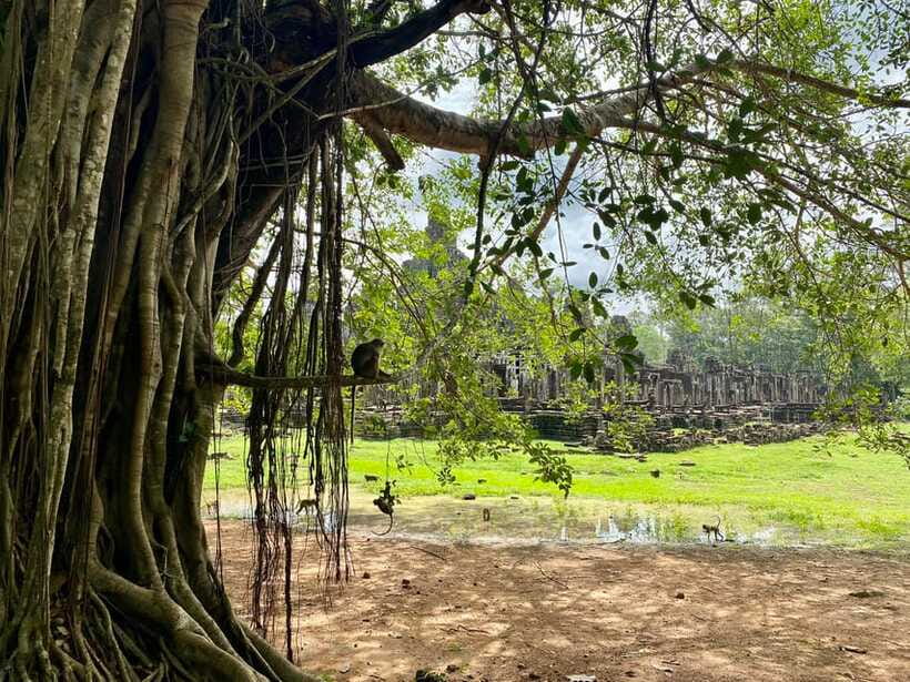Trusty Tuk Tuk - What to bring for a long temple day