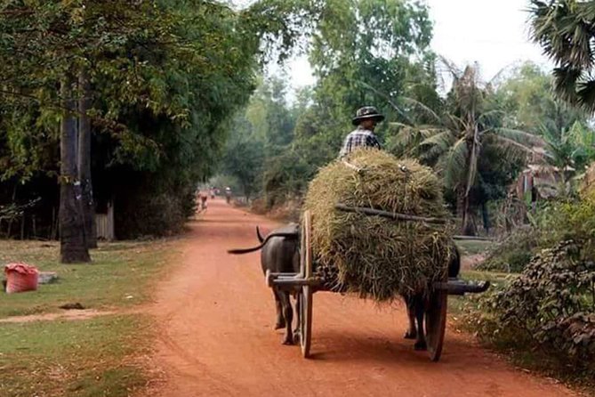 Tuk Tuk Journey: Exploring Rural Life and Silk Farm Craftsmanship - Why Leave Siem Reap for Krabei Riel?