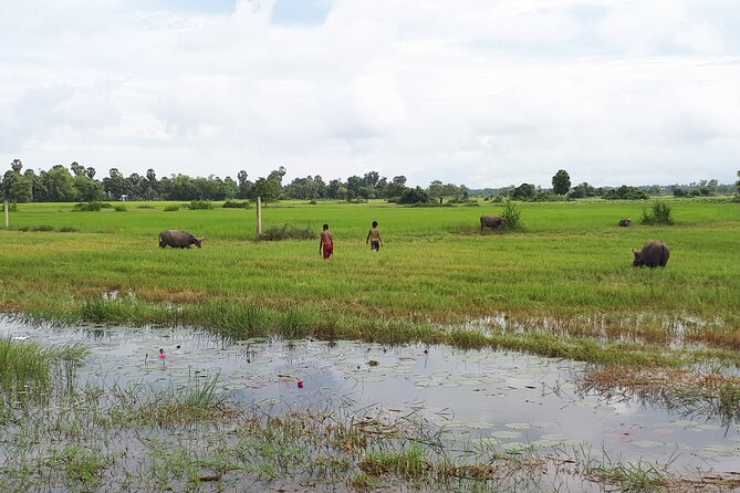 Tuk Tuk Journey: Exploring Rural Life and Silk Farm Craftsmanship - Should You Book This Rural Siem Reap Tour?