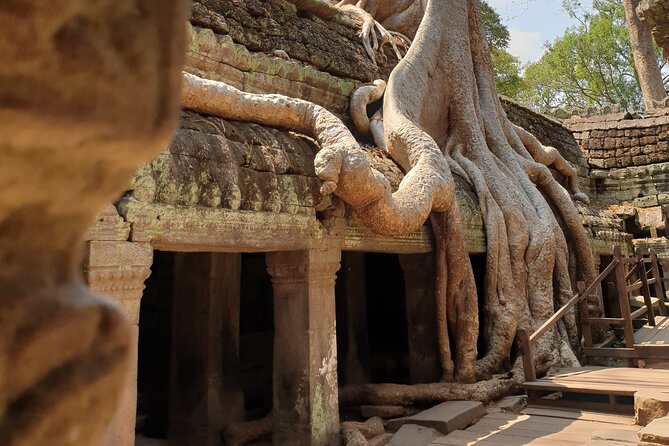 Two Days Angkor Tour - What Dara’s guiding style means for you