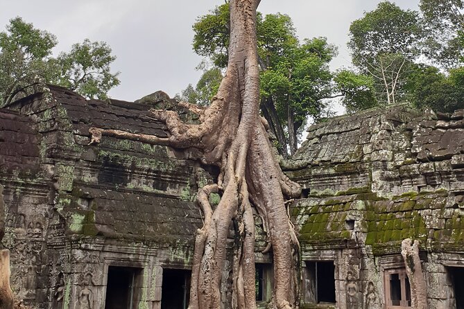 Two Days Angkor Tour - Who will enjoy this tour most