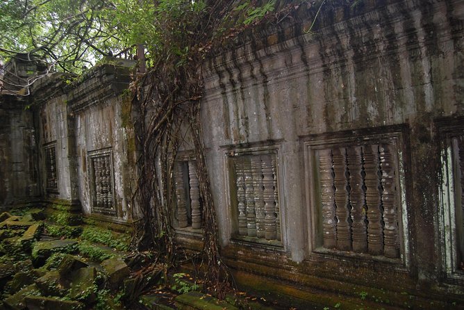 Two Days Angkor Wat Park-Beng Mealea and Kampong Phluk Village - Ta Prohm and the appeal of ruins left rough