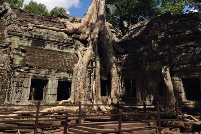 Ultimate Siem Reap Food Tour by Tuk Tuk - 20 Tastings, 8 Stops - A lesser-known Cambodian dish in a back street