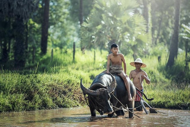 Village Life Tour from Siem Reap - Key points at a glance
